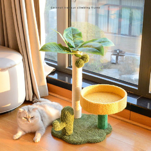 El &aacute;rbol de coco y el cactus dise&ntilde;an el marco que sube multifuncional del &aacute;rbol del gato