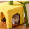 Ay&ccedil;i&ccedil;eği Yaratıcı Kedi Ağacı - Tırmalama Direği ve Rahat Saklanma Yeri Olan &Ccedil;ok Katlı Kedi Apartmanı